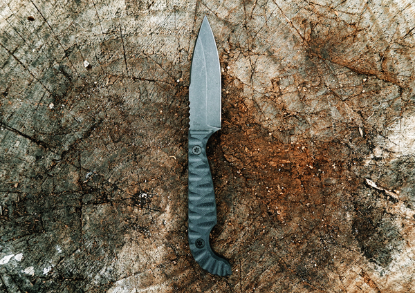 SEAF JR 2