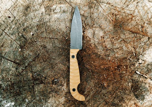 SEAF JR 2