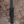 WOLF FORTY X CRIME CO. JC DAGGER BLACK