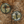 WFD CIRCLE PATCH